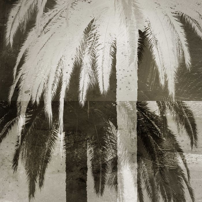 Double palmier by Thierry Boitier