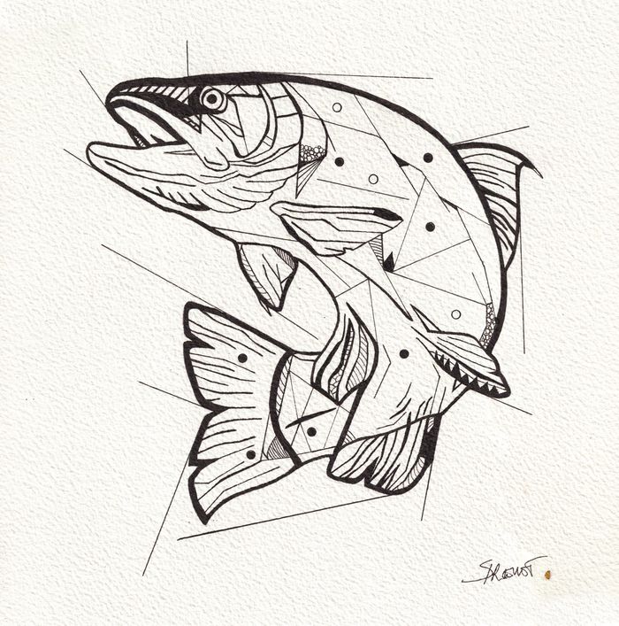 La truite par Steve Drevet