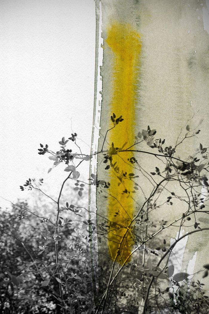 Luce par Jérôme Pergolesi