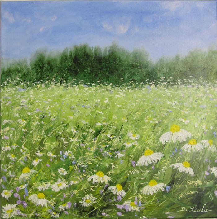 marguerites à foison von Brigitte Di Scala