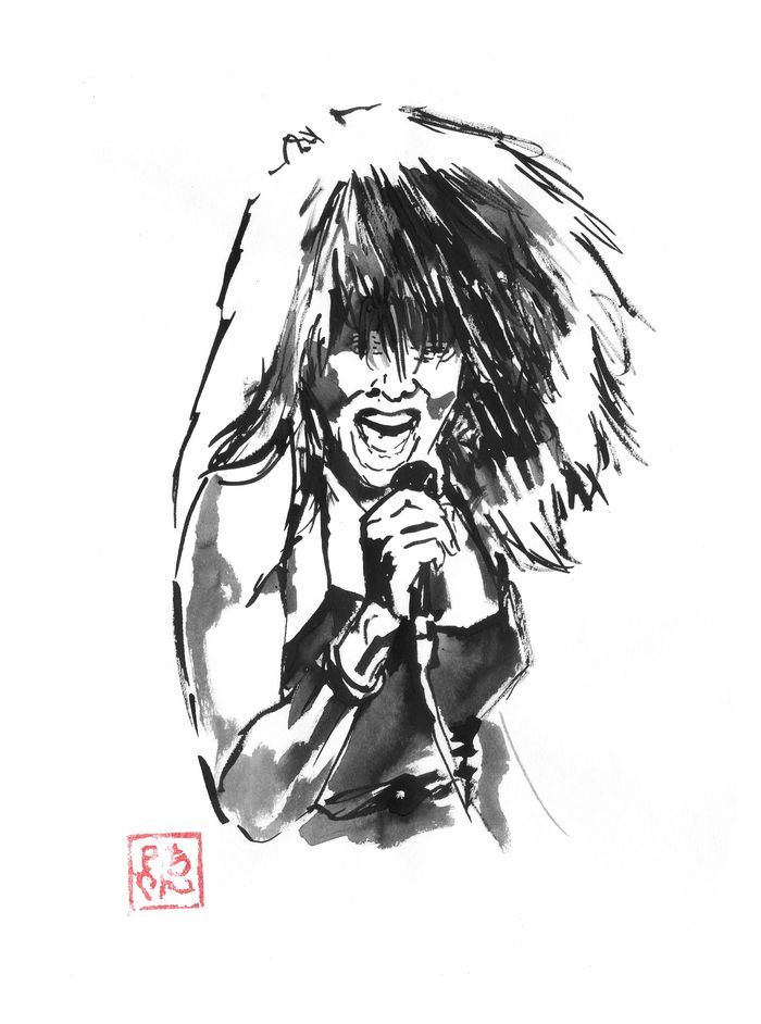 tina turner on stage von Péchane