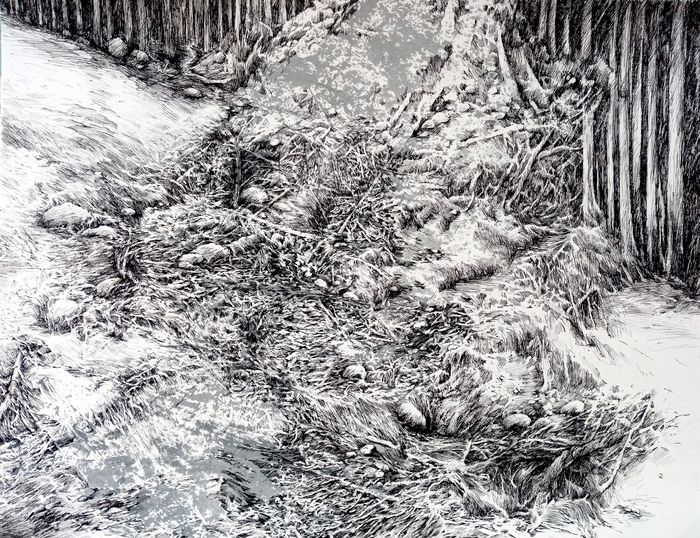 à l'ouest d'Akham 11 by Pierre Richir