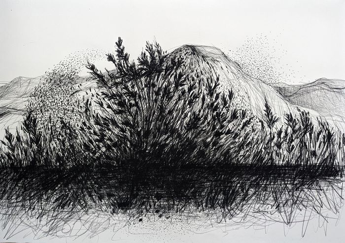 sentiers d'Auvergne by Vincent Ganaye