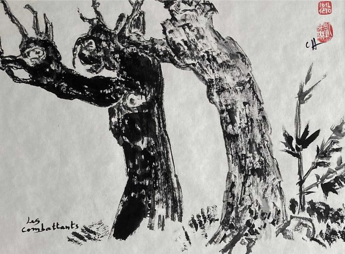 Les combattants par Catherine Hoang