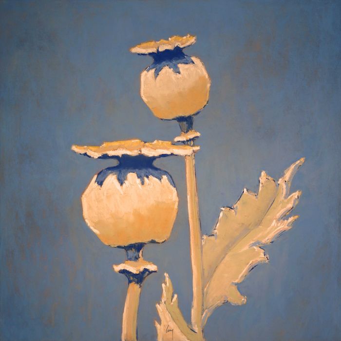 Têtes de pavot von François Cusson