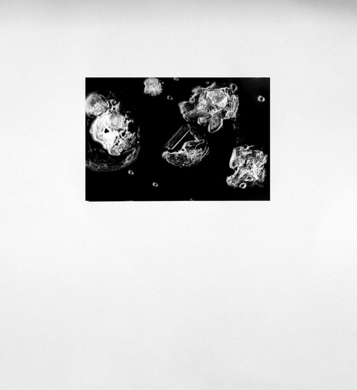 Lcd helio gravure II par Juliana Borinski