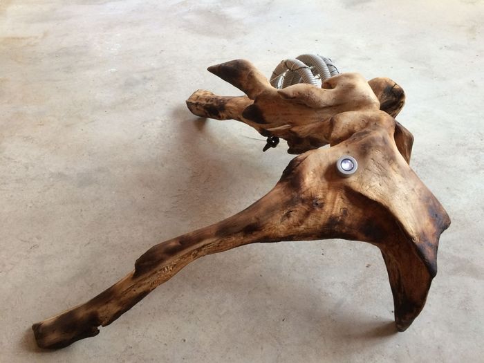 Senior par Catherine Hoang