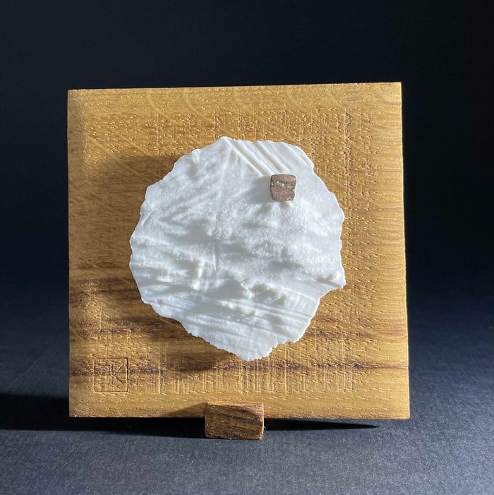 Saisir l'instant #10 par Olivier Layus