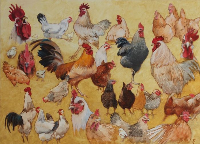 Coqs et poules, étude par Alain Boemare