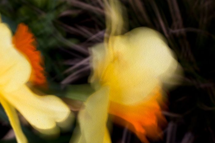 Albe et Mila I par Jérôme Pergolesi