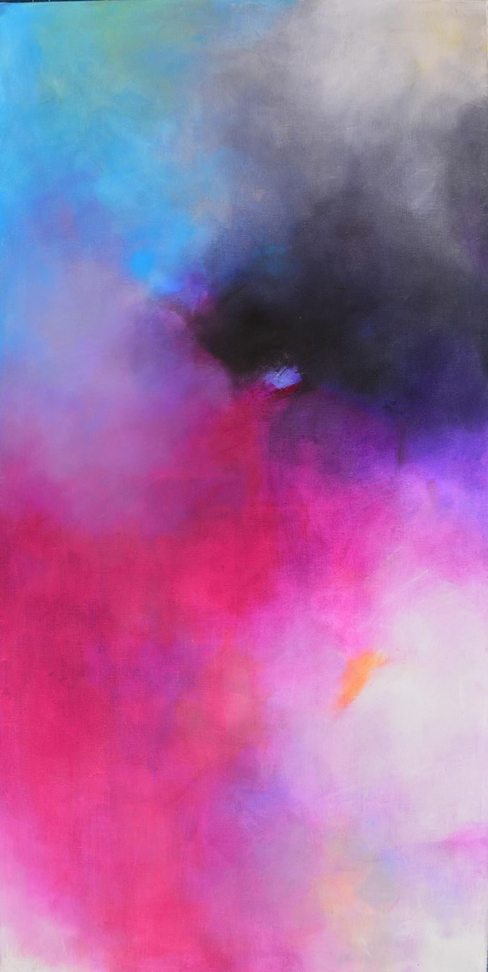 Le rêve sans limite von Le Thuy DELMONT