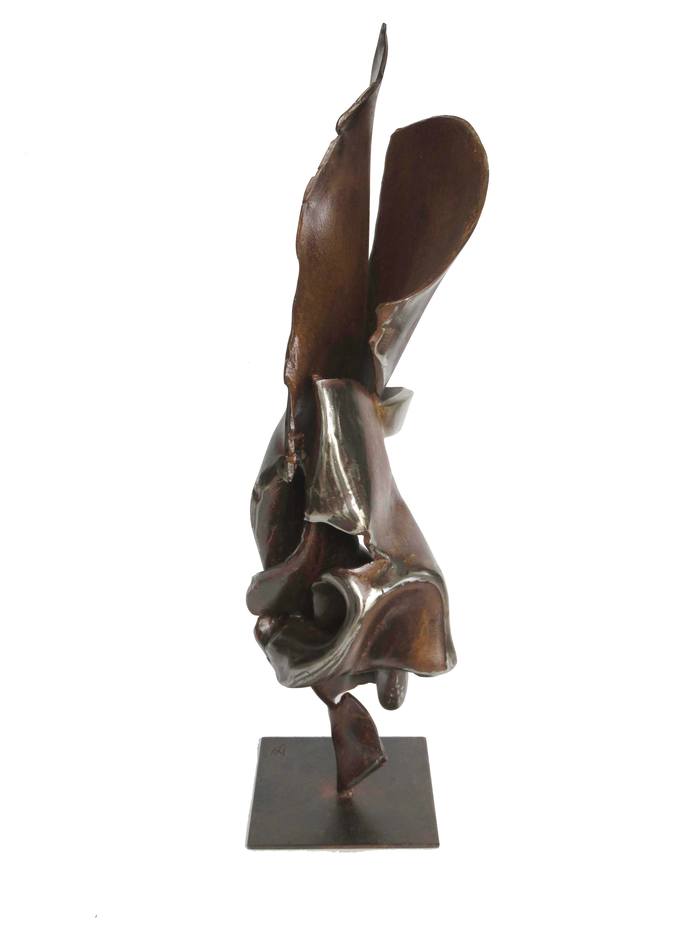 Tribal Ethnie von Jean-Marc Martinez