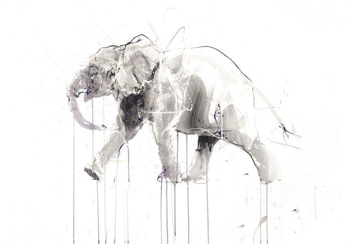 Elephant par Dave White