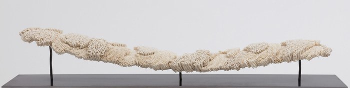 Grande vague corallium von Virginie Bécourt