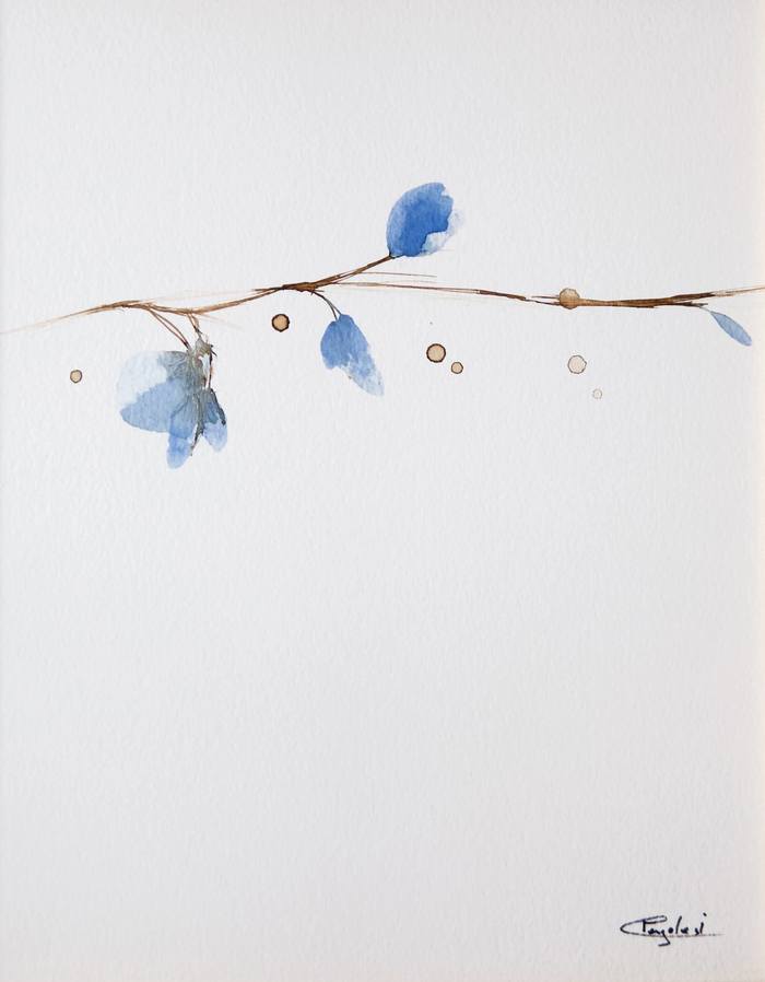 Presque l'envole by Jérôme Pergolesi