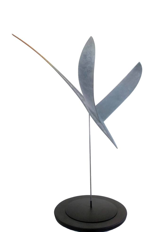 Fils du ciel par Gaël Rouxeville