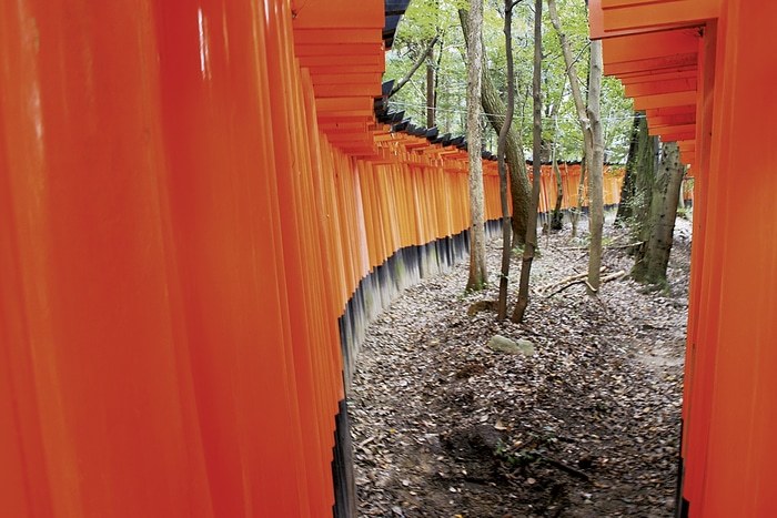 Fushimi Inari par Lise Hébuterne
