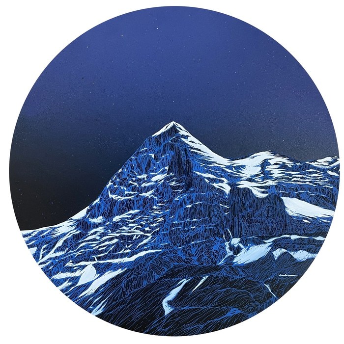 Facing the dark side von Coralie Huon