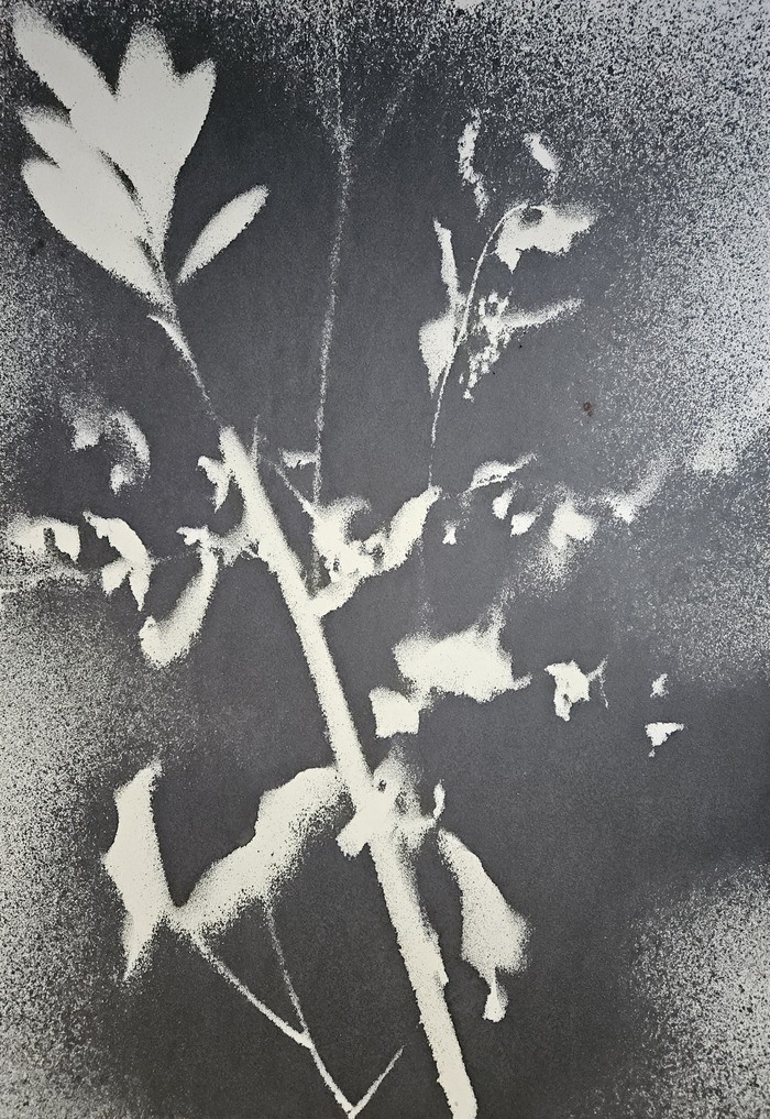 RF36  by Stefano Mazzolini