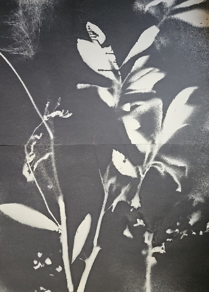 RF2930  par Stefano Mazzolini