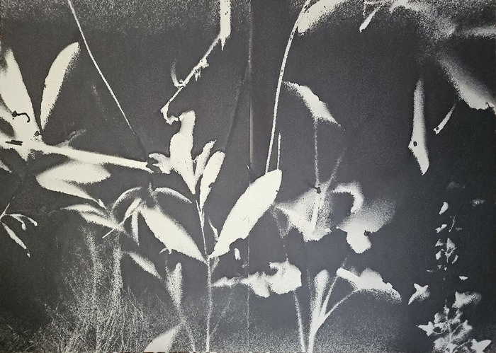 RF3132 par Stefano Mazzolini