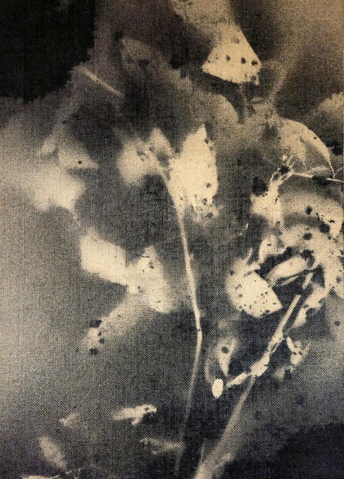 RF4  by Stefano Mazzolini