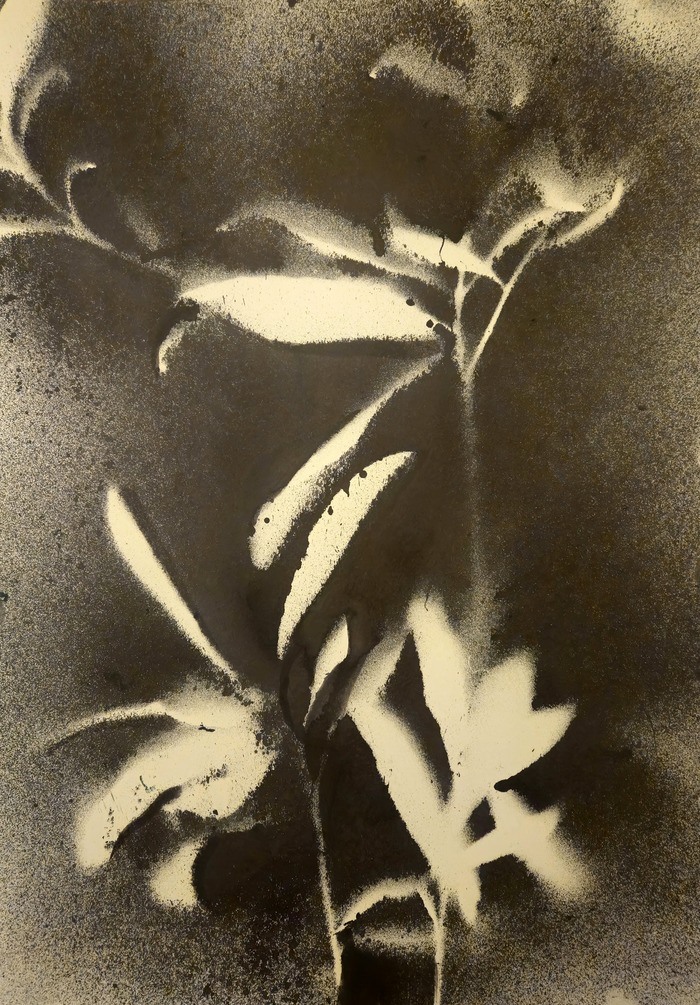 RF15  par Stefano Mazzolini