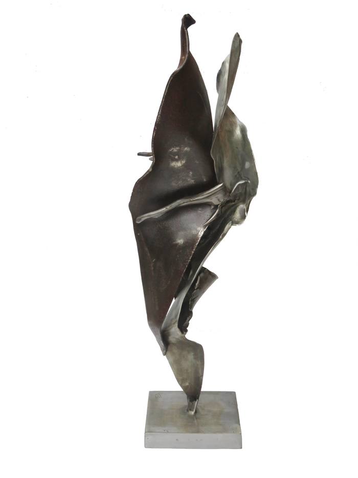 Fusion Végétale par Jean-Marc Martinez