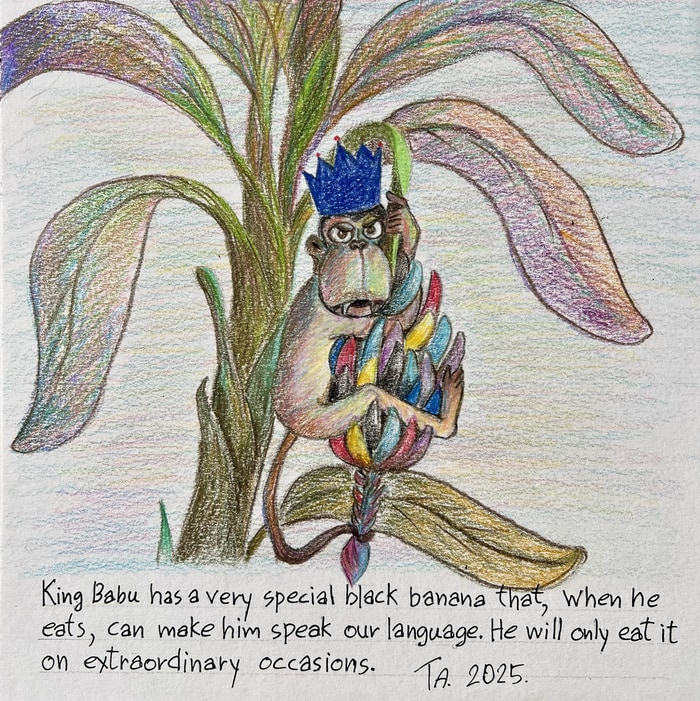 Babu King of the baboons  by Ta Byrne