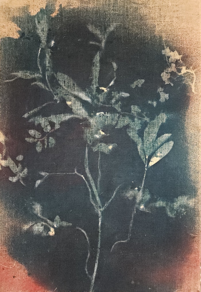 RF6566 Double-Sided par Stefano Mazzolini