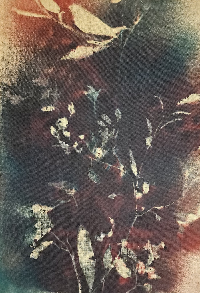 RF6768 Double-Sided  von Stefano Mazzolini