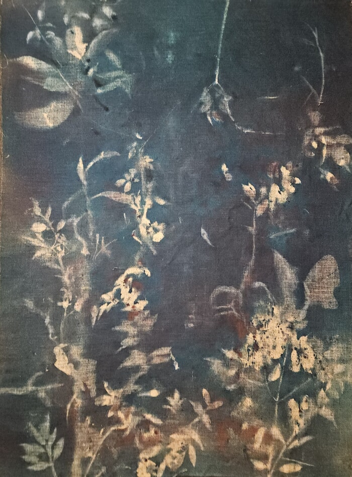 RF5556 Double-Sided  by Stefano Mazzolini