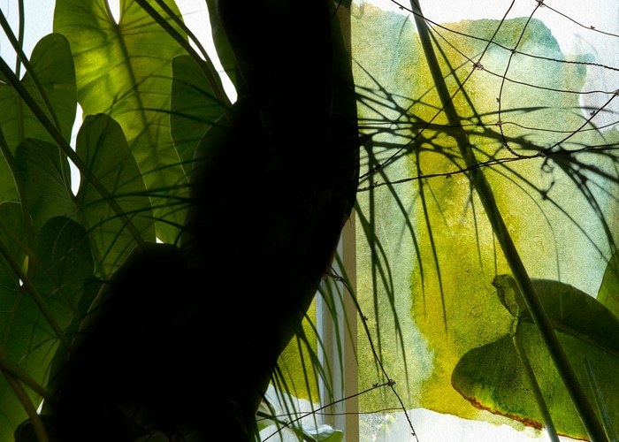 Alice von Jérôme Pergolesi