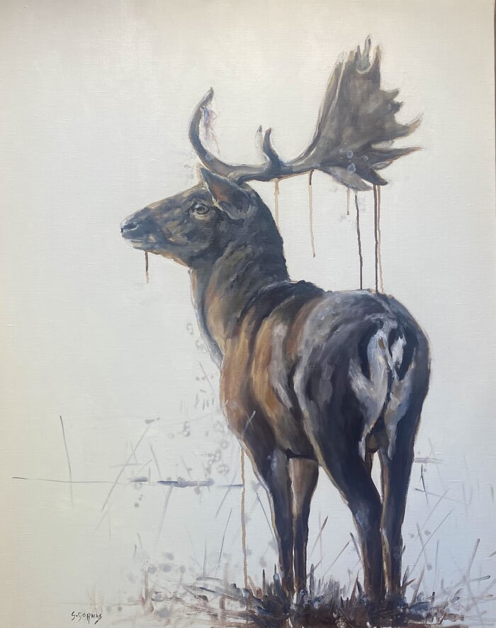 Daim by Géraldine Morales