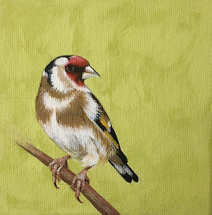 Carduelis carduelis by Sarah Goldbart