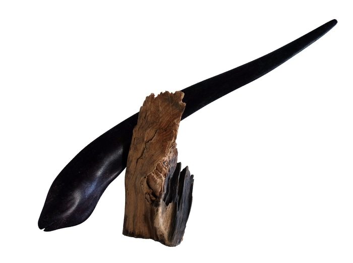 Danse avec les ombres par Gaël Rouxeville