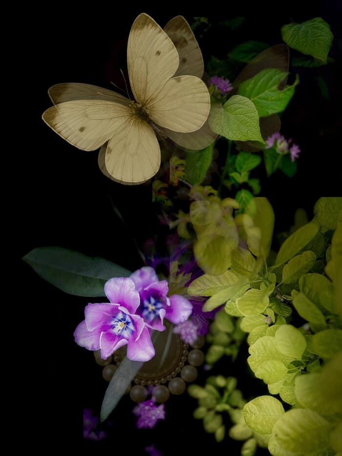 Alice's Little Day Dream Day by Victoria Horkan