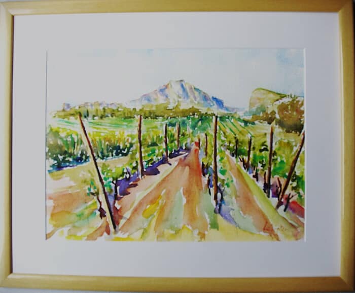 Vineyard in the south of France von Jean-Noël Le Junter