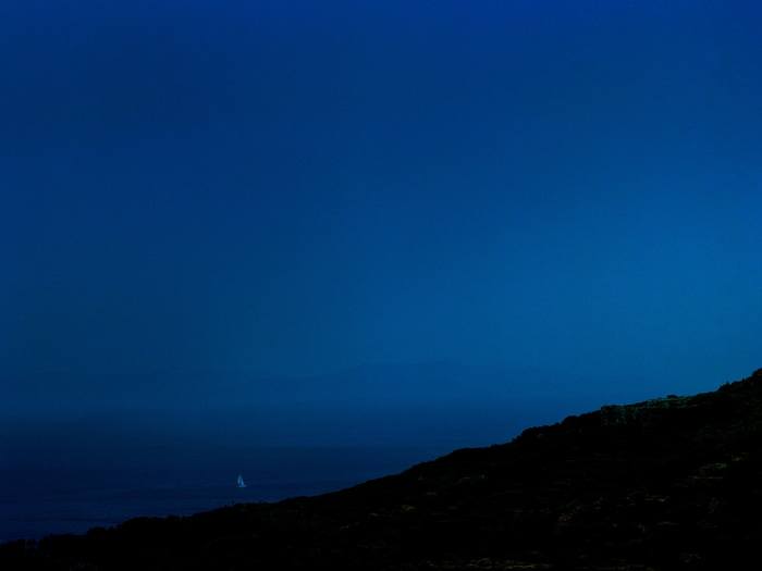 Emergence #2 by Andy Jon Morris