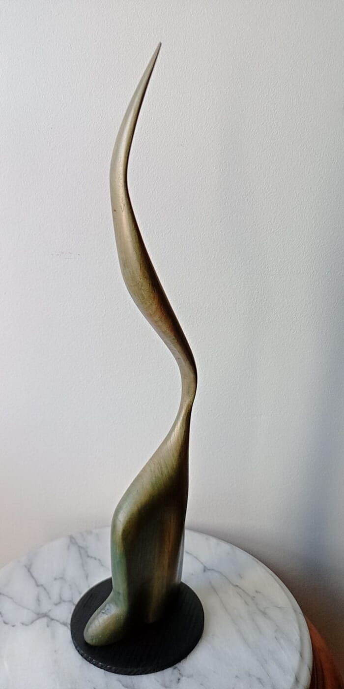 Histoire naturelle par Gaël Rouxeville