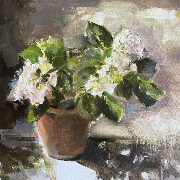 Hortensia blanc en pot by Géraldine Morales