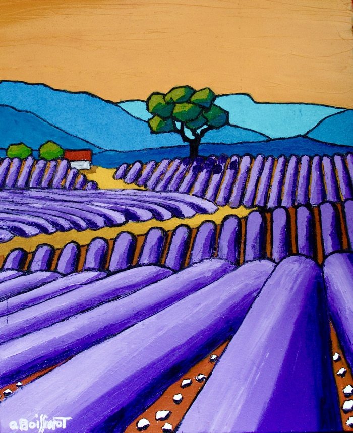 Lavandes sur le plateau de valensole by Olivier Boissinot