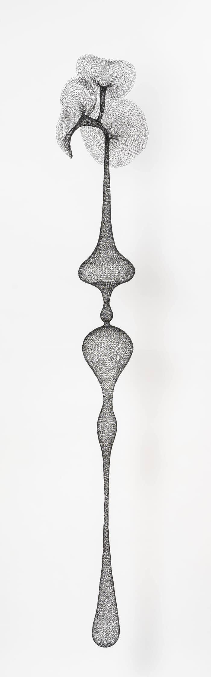 Iris I by Delphine Grandvaux