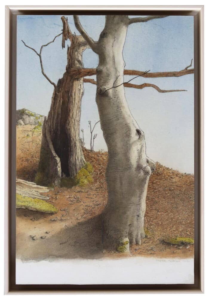 Trees by Thomas Thyrion