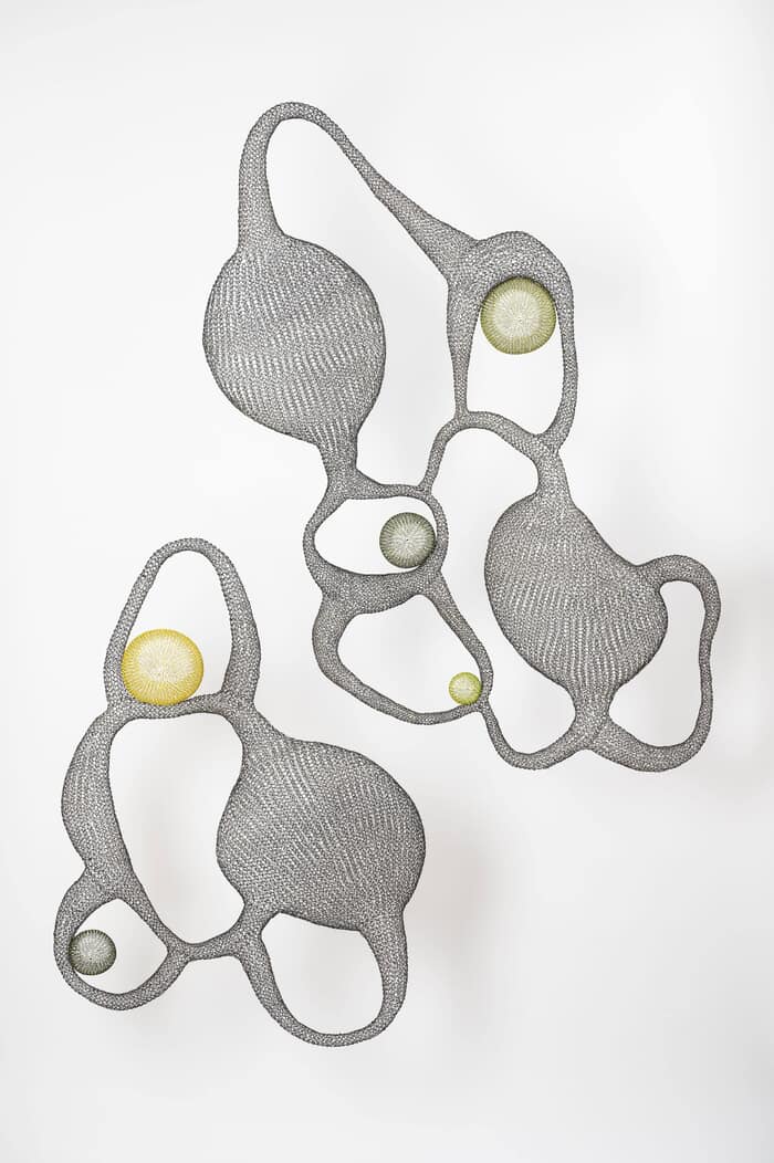 Soma by Delphine Grandvaux