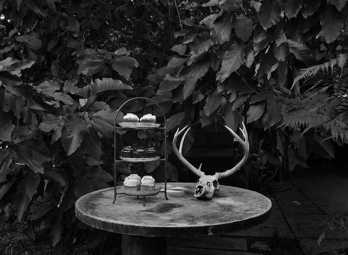 Hansel and Gretel Take a Holiday par Geoffrey Ansel Agrons