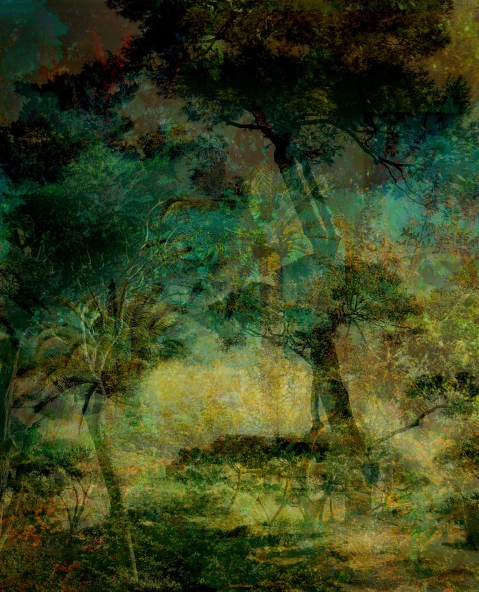 Solitude #2 by Andy Jon Morris