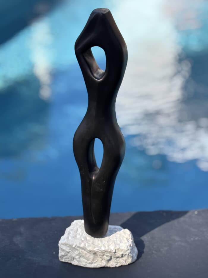 Evanescence by Didier Ferré