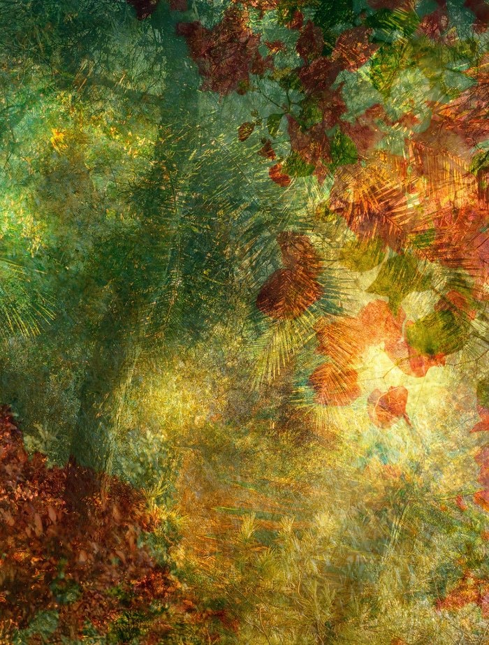 Solitude #1 by Andy Jon Morris