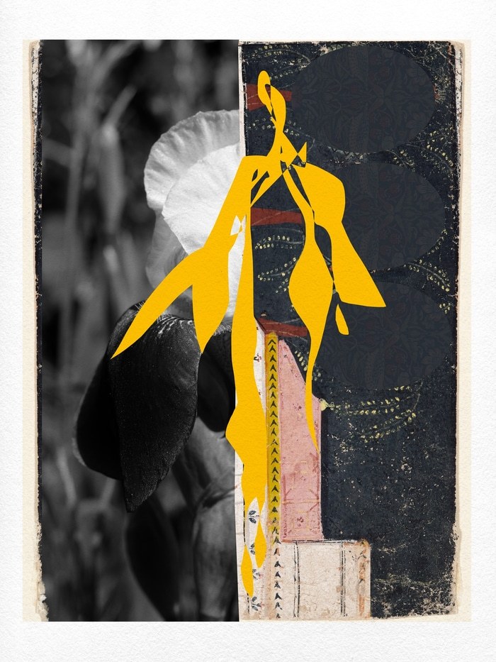 ANOKI par Jérôme Pergolesi